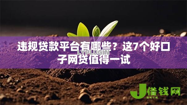 违规贷款平台有哪些?这7个好口子网贷值得一试 违规贷款平台有哪些?这7个好口子网贷值得一试
