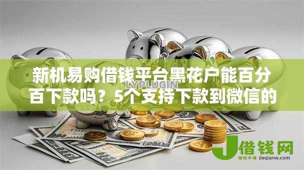 新机易购借钱平台黑花户能百分百下款吗？5个支持下款到微信的不上征信报告的贷款口子