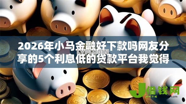 2026年小马金融好下款吗网友分享的5个利息低的贷款平台我觉得不错！