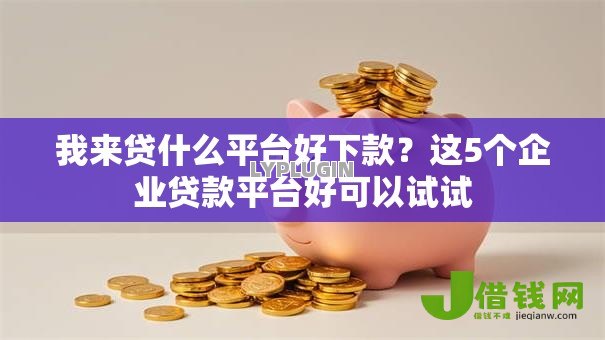 我来贷什么平台好下款？这5个企业贷款平台好可以试试