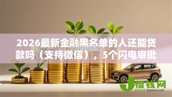 2026最新金融黑名单的人还能贷款吗（支持微信），5个闪电审批的软件无私分享