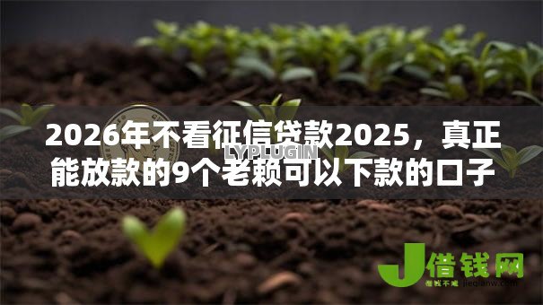 2026年不看征信贷款2025,真正能放款的9个老赖可以下款的口子推荐 2026年不看征信贷款2025,真正能放款的9个老赖可以下款的口子推荐