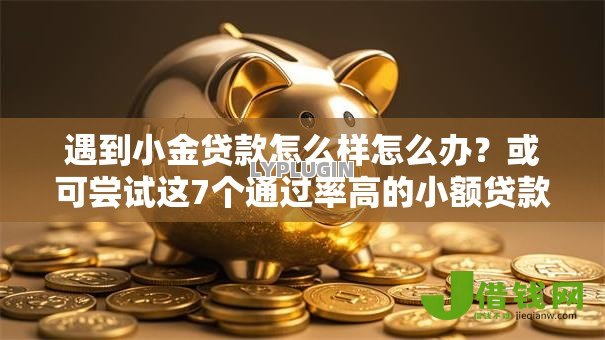 遇到小金贷款怎么样怎么办？或可尝试这7个通过率高的小额贷款平台