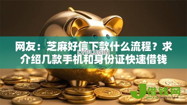 网友:芝麻好信下款什么流程?求介绍几款手机和身份证快速借钱平台 网友:芝麻好信下款什么流程?求介绍几款手机和身份证快速借钱平台