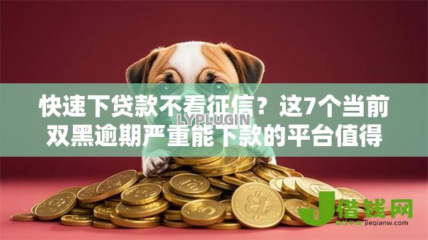 快速下贷款不看征信?这7个当前双黑逾期严重能下款的平台值得一试 快速下贷款不看征信?这7个当前双黑逾期严重能下款的平台值得一试