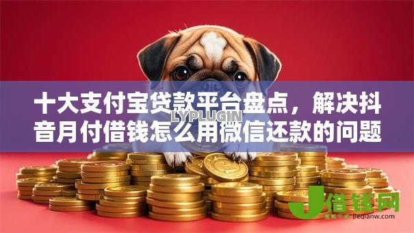 十大支付宝贷款平台盘点,解决抖音月付借钱怎么用微信还款的问题 十大支付宝贷款平台盘点,解决抖音月付借钱怎么用微信还款的问题