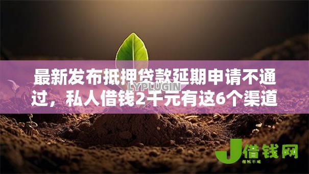 最新发布抵押贷款延期申请不通过，私人借钱2千元有这6个渠道
