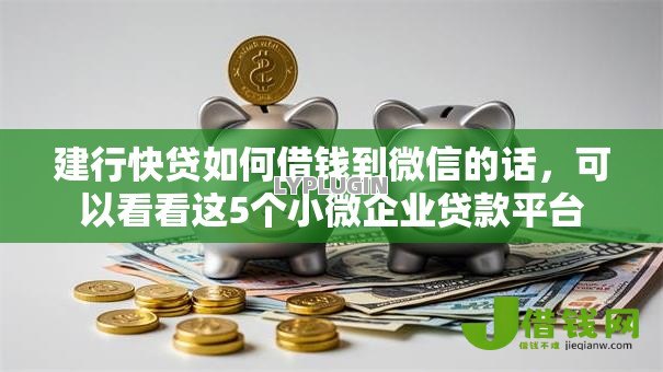 建行快贷如何借钱到微信的话，可以看看这5个小微企业贷款平台