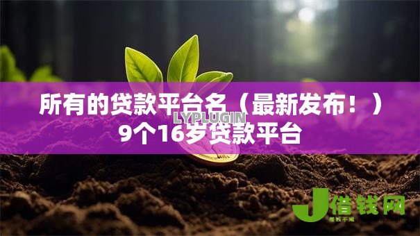 所有的贷款平台名（最新发布！）9个16岁贷款平台