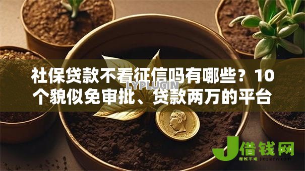 社保贷款不看征信吗有哪些？10个貌似免审批、贷款两万的平台合集