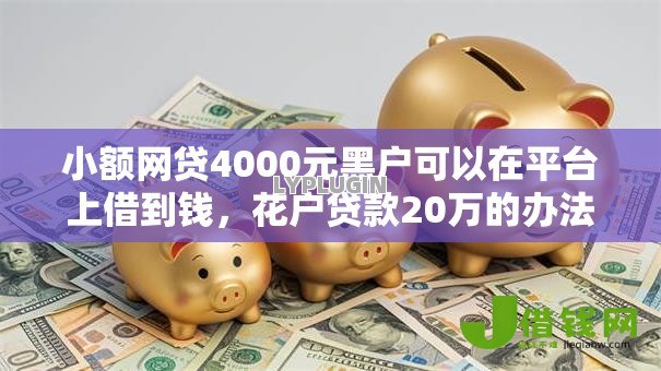 小额网贷4000元黑户可以在平台上借到钱，花户贷款20万的办法的6个平台介绍