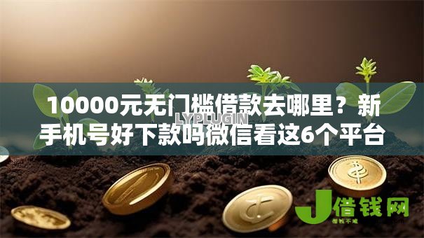 10000元无门槛借款去哪里？新手机号好下款吗微信看这6个平台
