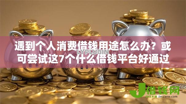 遇到个人消费借钱用途怎么办？或可尝试这7个什么借钱平台好通过