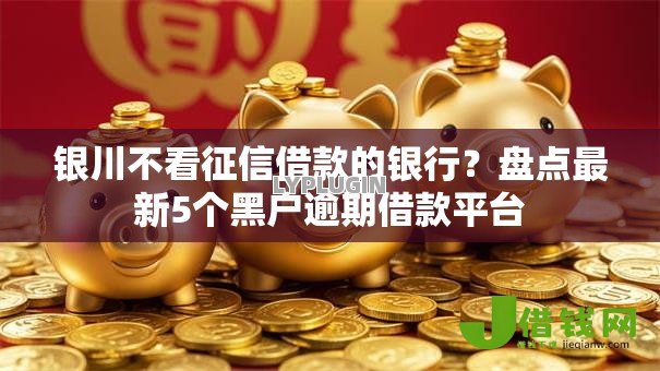 银川不看征信借款的银行？盘点最新5个黑户逾期借款平台