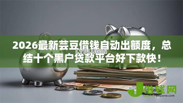 2026最新芸豆借钱自动出额度，总结十个黑户贷款平台好下款快！