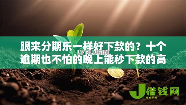 跟来分期乐一样好下款的？十个逾期也不怕的晚上能秒下款的高炮口子
