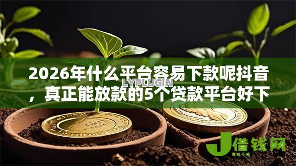 2026年什么平台容易下款呢抖音,真正能放款的5个贷款平台好下款推荐 2026年什么平台容易下款呢抖音,真正能放款的5个贷款平台好下款推荐