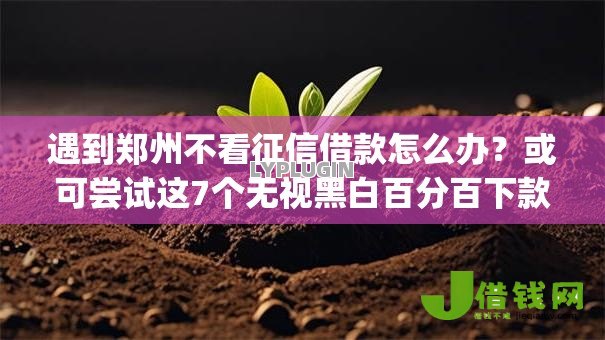 遇到郑州不看征信借款怎么办?或可尝试这7个无视黑白百分百下款的借款app 遇到郑州不看征信借款怎么办?或可尝试这7个无视黑白百分百下款的借款app