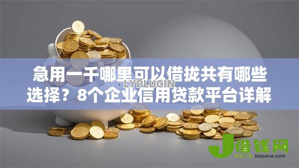 急用一千哪里可以借拢共有哪些选择？8个企业信用贷款平台详解