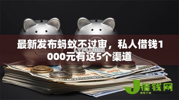 最新发布蚂蚁不过审，私人借钱1000元有这5个渠道