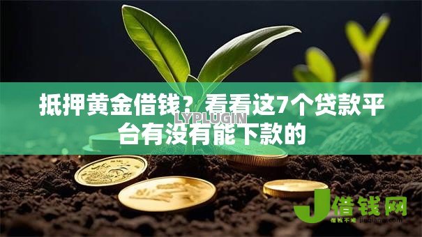 抵押黄金借钱？看看这7个贷款平台有没有能下款的