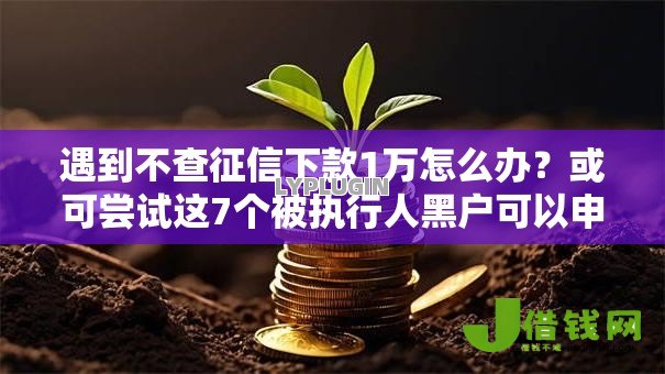 遇到不查征信下款1万怎么办？或可尝试这7个被执行人黑户可以申请网贷的平台