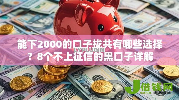 能下2000的口子拢共有哪些选择？8个不上征信的黑口子详解