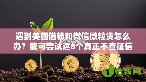遇到美团借钱和微信微粒贷怎么办？或可尝试这8个真正不查征信的贷款平台