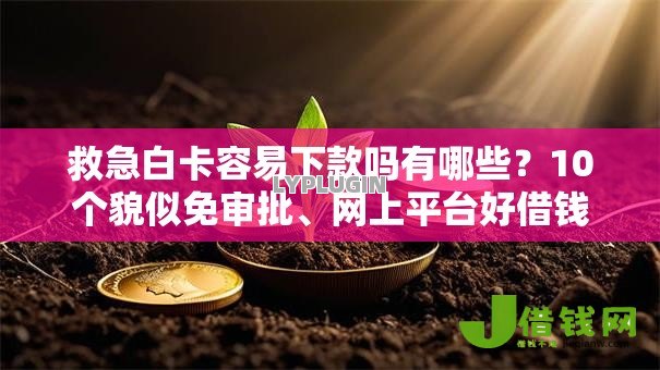 救急白卡容易下款吗有哪些？10个貌似免审批、网上平台好借钱合集