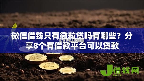微信借钱只有微粒贷吗有哪些?分享8个有借款平台可以贷款 微信借钱只有微粒贷吗有哪些?分享8个有借款平台可以贷款