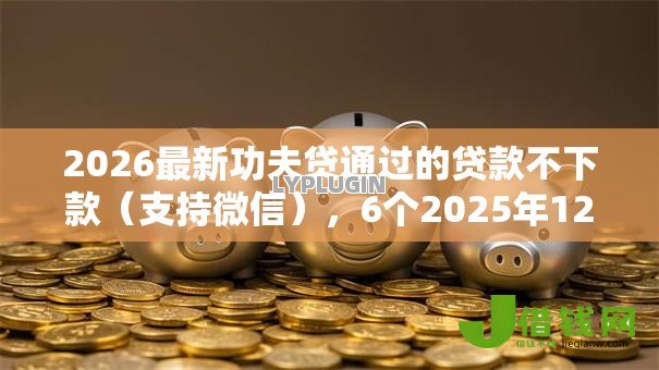 2026最新功夫贷通过的贷款不下款(支持微信),6个2025年12月下款口子无私分享 2026最新功夫贷通过的贷款不下款(支持微信),6个2025年12月下款口子无私分享