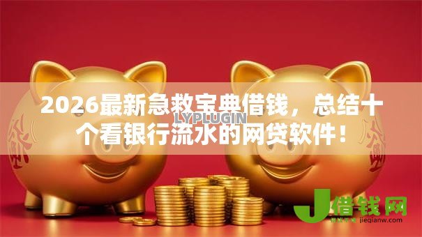 2026最新急救宝典借钱，总结十个看银行流水的网贷软件！