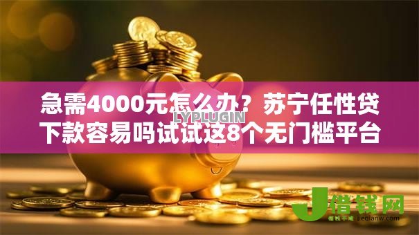 急需4000元怎么办？苏宁任性贷下款容易吗试试这8个无门槛平台