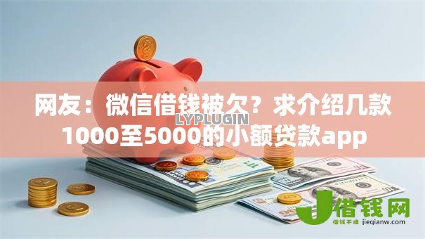 网友：微信借钱被欠？求介绍几款1000至5000的小额贷款app