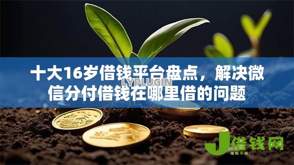 十大16岁借钱平台盘点，解决微信分付借钱在哪里借的问题