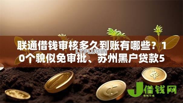 联通借钱审核多久到账有哪些？10个貌似免审批、苏州黑户贷款5万的口子合集