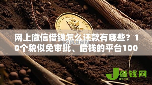 网上微信借钱怎么还款有哪些?10个貌似免审批、借钱的平台100%能借到18周岁合集 网上微信借钱怎么还款有哪些?10个貌似免审批、借钱的平台100%能借到18周岁合集