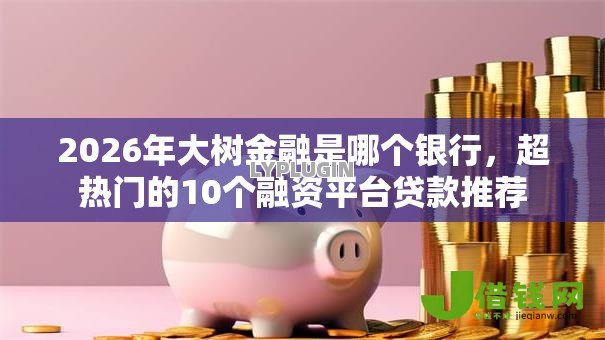 2026年大树金融是哪个银行，超热门的10个融资平台贷款推荐