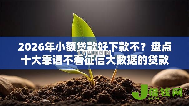 2026年小额贷款好下款不？盘点十大靠谱不看征信大数据的贷款平台