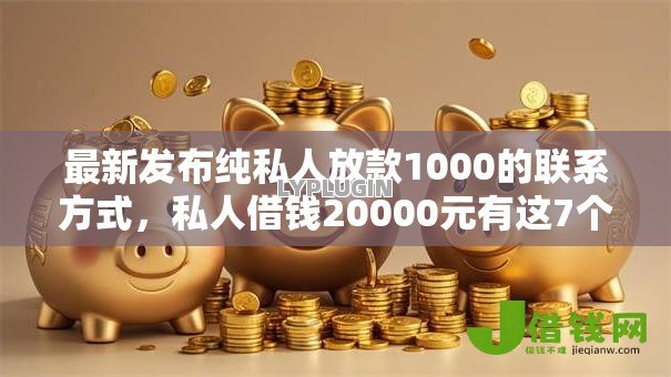 最新发布纯私人放款1000的联系方式，私人借钱20000元有这7个渠道
