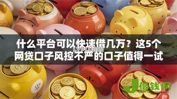 什么平台可以快速借几万？这5个网贷口子风控不严的口子值得一试