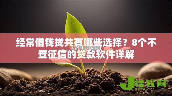 经常借钱拢共有哪些选择？8个不查征信的贷款软件详解