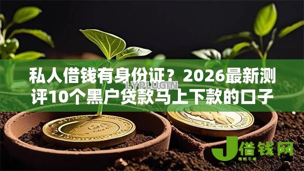 私人借钱有身份证?2026最新测评10个黑户贷款马上下款的口子 私人借钱有身份证?2026最新测评10个黑户贷款马上下款的口子