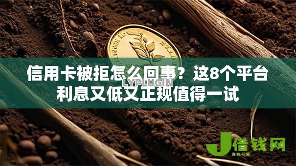 信用卡被拒怎么回事？这8个平台利息又低又正规值得一试