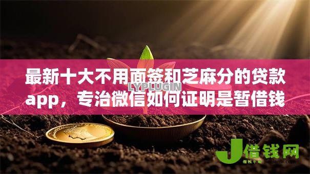 最新十大不用面签和芝麻分的贷款app,专治微信如何证明是暂借钱 最新十大不用面签和芝麻分的贷款app,专治微信如何证明是暂借钱
