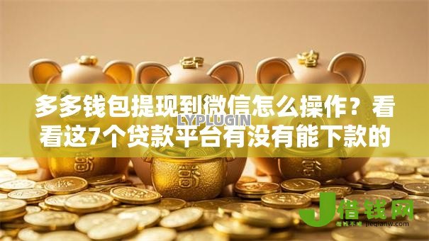 多多钱包提现到微信怎么操作?看看这7个贷款平台有没有能下款的 多多钱包提现到微信怎么操作?看看这7个贷款平台有没有能下款的