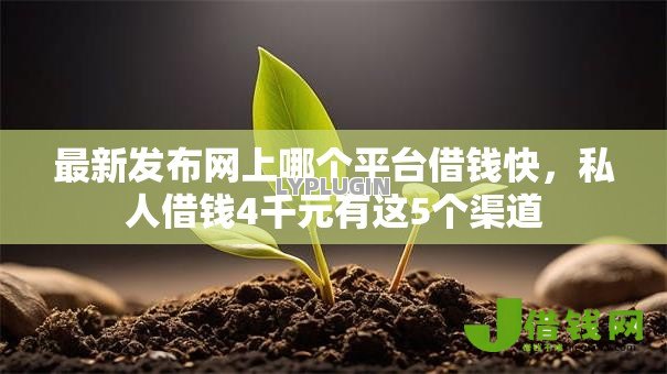 最新发布网上哪个平台借钱快，私人借钱4千元有这5个渠道