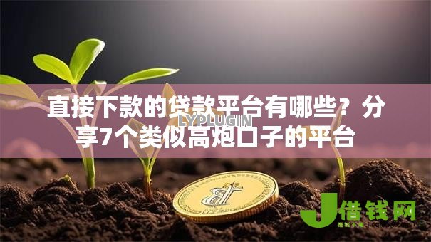 直接下款的贷款平台有哪些？分享7个类似高炮口子的平台