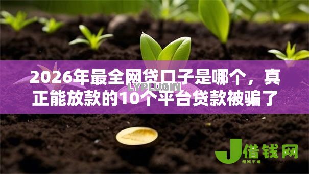 2026年最全网贷口子是哪个,真正能放款的10个平台贷款被骗了怎么办推荐 2026年最全网贷口子是哪个,真正能放款的10个平台贷款被骗了怎么办推荐