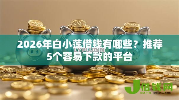2026年白小莲借钱有哪些？推荐5个容易下款的平台